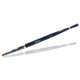 Present by BNP 1 Pc Black Nail Art Tool Brush Polish Acrylic Gel UV Design Adhesive Liner Pen for Manicure Beauty Nail Acrylic Nails (C4)