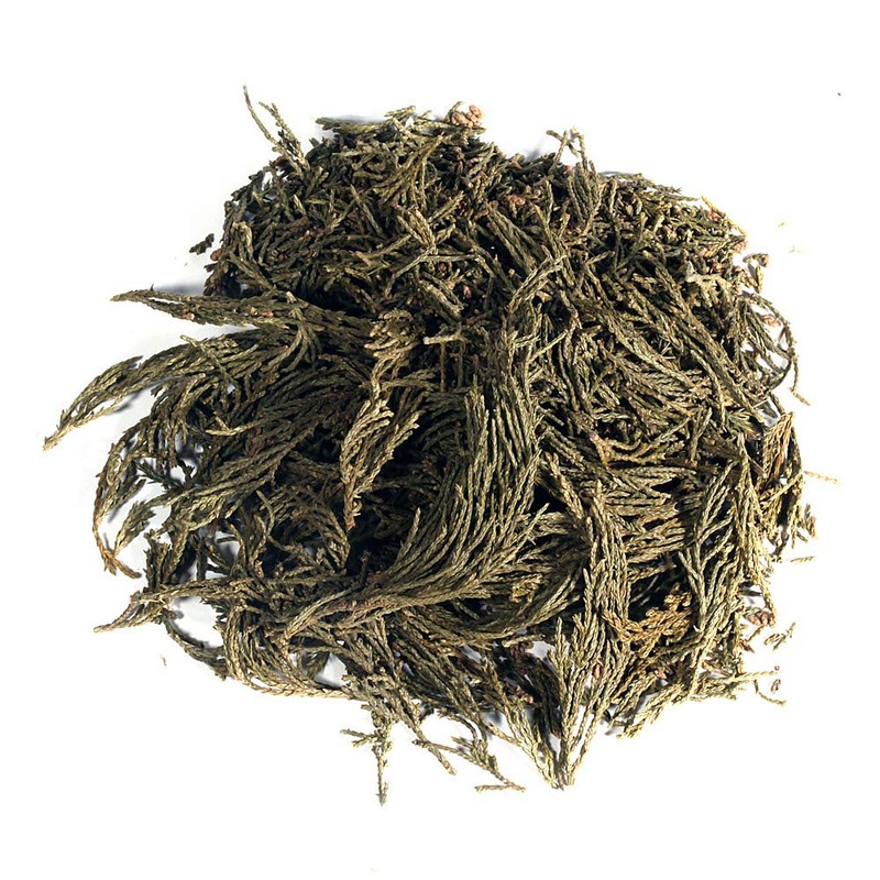 EidolonGreen [China Medicinal Herb] 100% Natural leaf of Arborvitae (Green