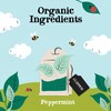 Clipper Organic Infusion Peppermint 20 Tea Bags (Pack of 6)