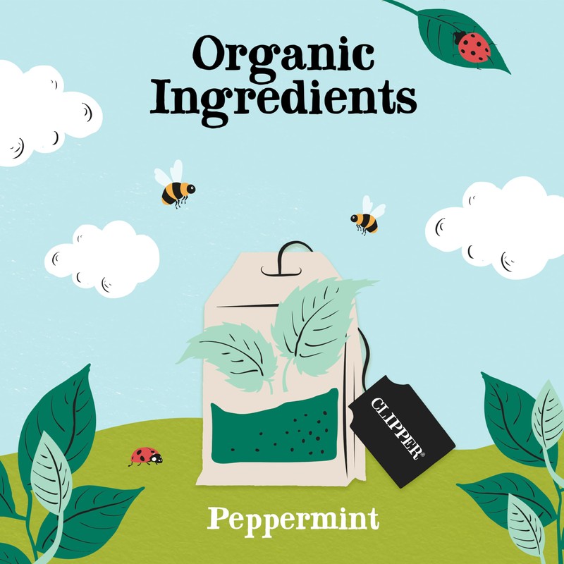 Clipper Organic Infusion Peppermint 20 Tea Bags (Pack of 6)