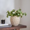 DN DECONATION Beige Rustic Farmhouse Vase, 8.2 Inch Textured Boho