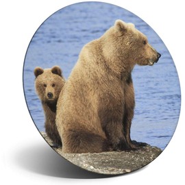 Destination Vinyl ltd Magnet for Refrigerator, Fridge - Cute Brown Bear Cub Mother for Office, Cabinet and Whiteboard, Magnetic Stickers, 14282
