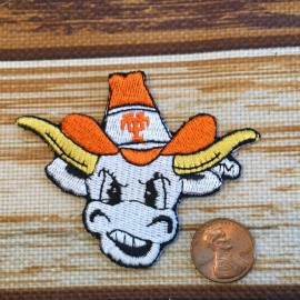 Texas Longhorns vintage iron on embroidered patch 2.5” x 3” Grade A