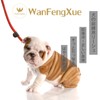 Dog Dog Leash with Integrated Collar Adjustable Leash 1.3m Nylon