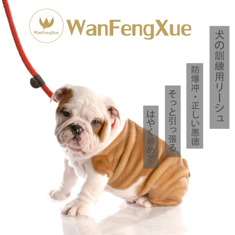 Dog Dog Leash with Integrated Collar Adjustable Leash 1.3m Nylon