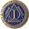 1 Year AA Medallion Reflex Antique and Blue Color Bronze