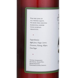 Liquid Alchemist Apple Spice Cocktail Syrup, Drink Mixer, Soda Syrup - Natural, Premium, Small Batch Syrups (25 oz)