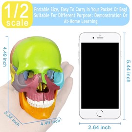 Anatomy Skull Model, 15-Piece Puzzle Colourful Medical Skull Model for Children, Human Anatomy Exploded Skull, Removable Medical Dental Clinic Teaching Equipment, with Detailed Manual (English