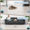 Pet Deluxe Interactive Cat Toy for Indoor Cats, Auto/Remote Control