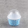 Alvinlite 100Pcs Mini Cupcake Liners with Lid|Disposable Muffin Tin Cupcake