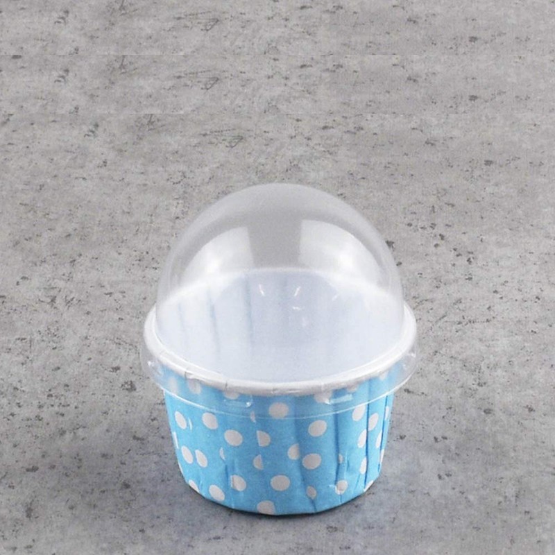 Alvinlite 100Pcs Mini Cupcake Liners with Lid|Disposable Muffin Tin Cupcake
