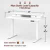 TIQLAB 48 * 24 Inch Standing Desk with Two Drawers,