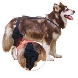 QCBF Dog ACL Knee Brace, Dog Knee Brace for Torn ACL Hind Leg, Dog ACL Brace hind Leg, Dog Leg Braces for Back Leg, Dog Hip Brace, Cruciate Care Knee Brace for Dogs (Large)