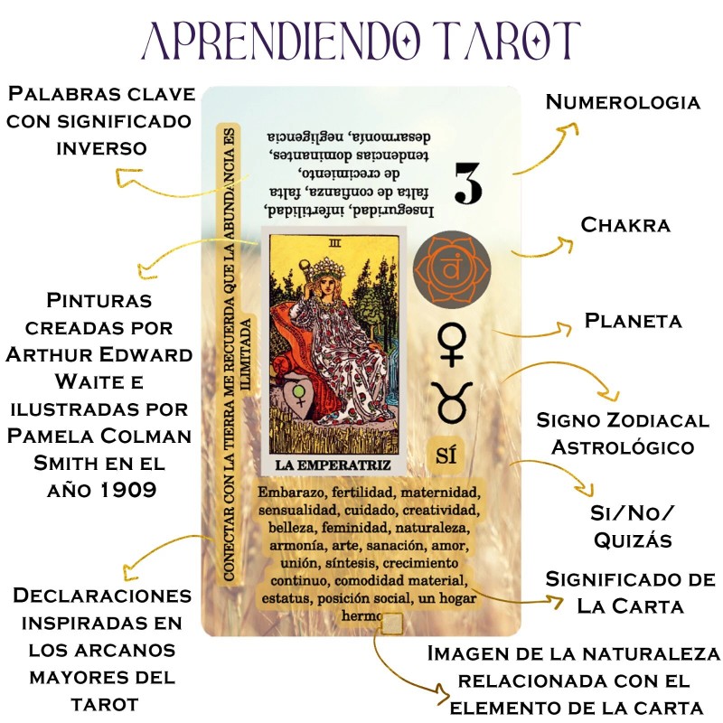 Cartas de Tarot en Español – Aprendizaje Completo y Práctico
