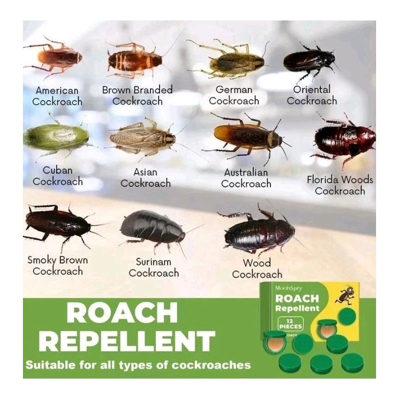 Moonspry Roach Repellent, Domestic Dormitory Kitchen Powerful Cleaning Cockroach