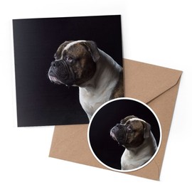 1 x Greeting Card & 10 cm Round Sticker Set - Adult American Bulldog Bull Dog - Birthday Thank You Friend Lover Fan Mum Dad Kids #44027