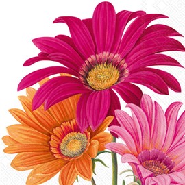 IHR Ideal Home Range Cocktail Napkins Disposable 3-Ply Paper Party Napkin Pack, 5" x 5", Joyful Gerbera (White), 20-Count