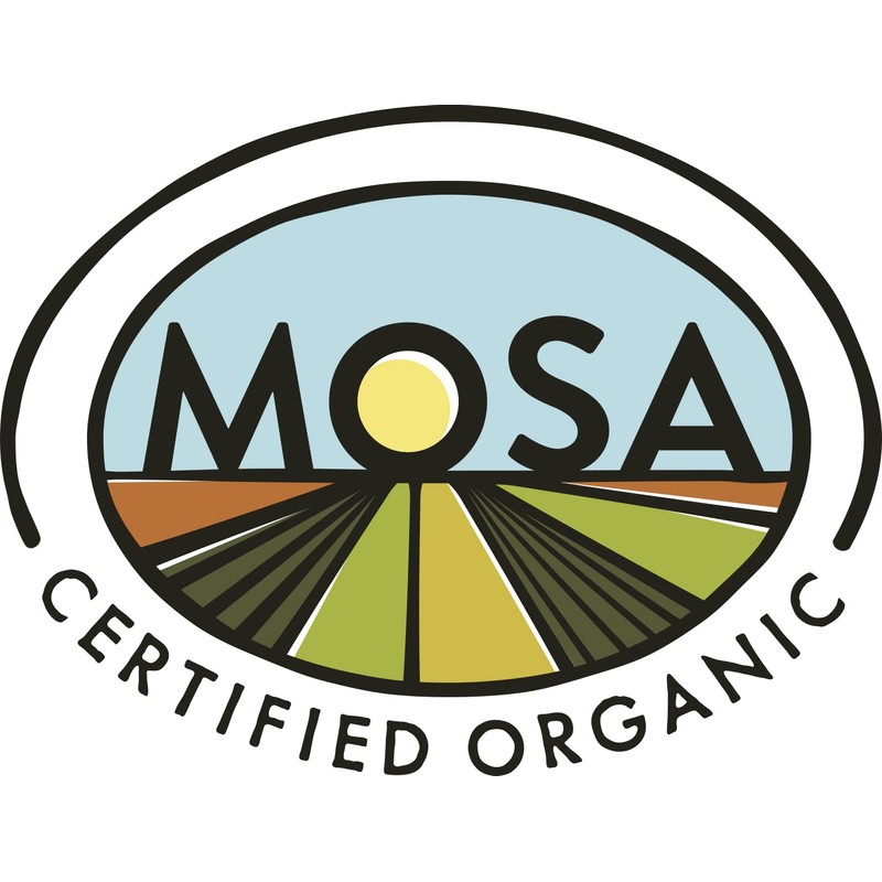 Sapsquatch Organic Maple Syrup - Quart - Grade-A Amber Rich