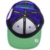 Sharktooth Snapback HWC Charlotte Hornets