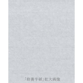 Koubai-do Calligraphy Hanshi, Cultivation, 100 Sheets, For Practice/Clear Calligraphy
