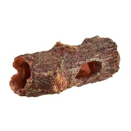 Underwater Treasures Fallen Log