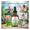 Moringa 100 % Pura Orgánica Gotas Inmunidad 60ml Vitalidad