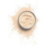 Milani Polvo Make It Last Setting Powder 01 translucent light