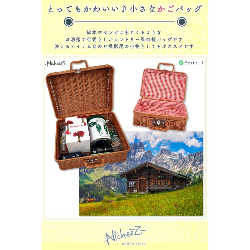 Nicheez Picnic Basket Bento Basket