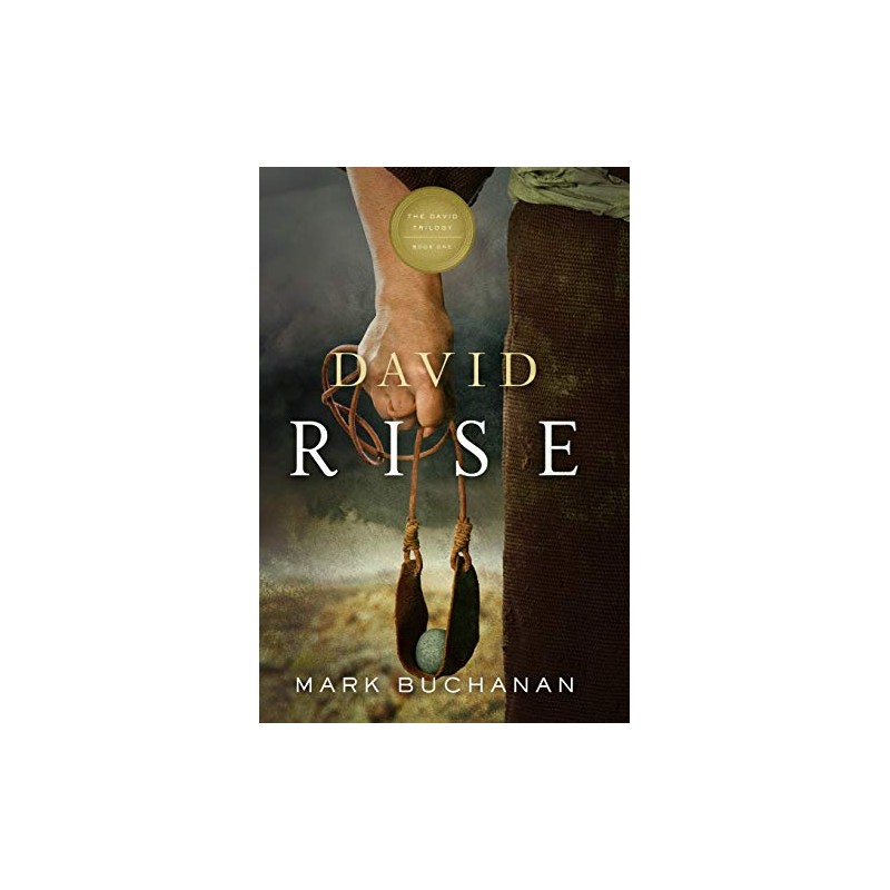 David: Rise (The David Trilogy)