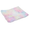 2 in 1 Pet Cat Mat Bed Colorful Cushion Pad