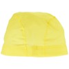 arena (ARN-13) Swim Cap, Mesh Cap, FINA Approved YEL (S)