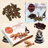 Backflow Incense Cones - Combo Pack of 20 Incense Cones