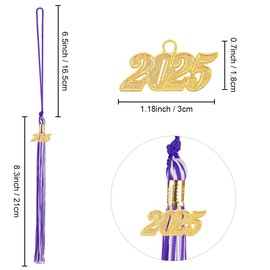 Tassels 2025, Graduation Tassels, Graduation Tassels 2025, Tassels Pendant Tassels, 2025 Graduation Tassel with Gold Charm Decorations for Graduation Hat, Tassels Purple, White