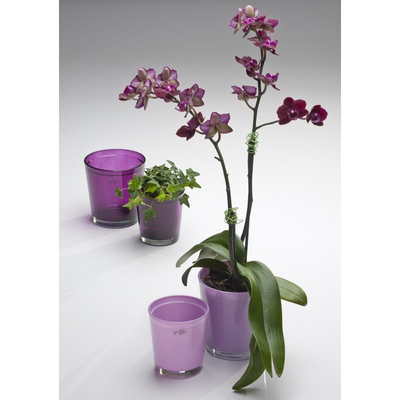 flowerpot ORCHID glass cachepot, 10cm, violet