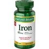Nature's Bounty Iron 65 Mg.(325 mg Ferrous Sulfate), 100 Tablets
