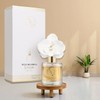 Pretty Valley Home Orchid Ceramic Flower Frangrance Diffuser 120ML Wild