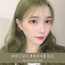 100ml Matt Green Blonde fruity hair color 闷青护发果泥果酸 染发剂 [#222]