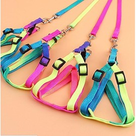 Pet Bird Harness and Leash with Buckle Adorable Rainbow Design Safe Parrot Leash Pet Harness Outdoor Adjustable Anti Bite Training Rope for Macaw Large Size Bird (Color, 1.0 * 120CM)