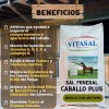 Sal Mineral Plus Para Caballo Vitasal Plus 20 Kilos.