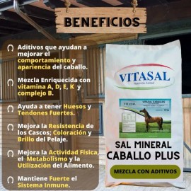 Sal Mineral Plus Para Caballo Vitasal Plus 20 Kilos.