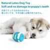 SCHITEC Dog Toy, Sound Noising, 9-Piece Set, Chew Toy, Stress