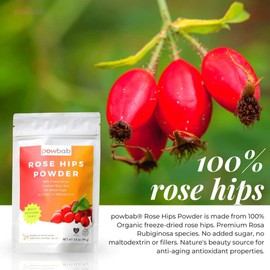 powbab Rose Hips Powder from 100% Wild Organic Rosehip. Premium Rosa Rubiginosa. Seedless Ground Rosehips from Whole Dried Rose Hips. No Added Sugar. Antioxidants, Immune Boost. Fair Trade (3.5 oz)