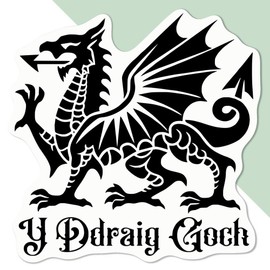 Medium 100mm 'Welsh Dragon' Permanent Sticker Decal for Cars/Windows/Bins/Walls etc (DW00120413)