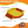 Hermit Crab Water Tank Hermit Crab Habitat Reptile Food Dish