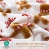 Viviland Christmas Holiday Plush Fleece Queen Bed Sheets, Fuzzy Polar