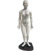K.S. Choi Corporation Female Acupuncture Model 19" with Chinese and