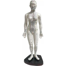 K.S. Choi Corporation Female Acupuncture Model 19" with Chinese and English Points