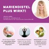 InnoNature Milk Thistle Plus Capsules, Naturally Combined with Artichoke, Black
