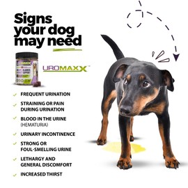 UroMAXX Dog Urinary Tract Infection Treatment, Bladder & Kidney Support for Dogs, Powerful Pet Care, Natural Soft Chews with Cranberry & Glucosamine, Made in The USA, Chicken Flavor, 90 Count, 3 Pack