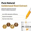 Goldenseal Root Extract 3000mg for Immune and Respiratory Wellness -